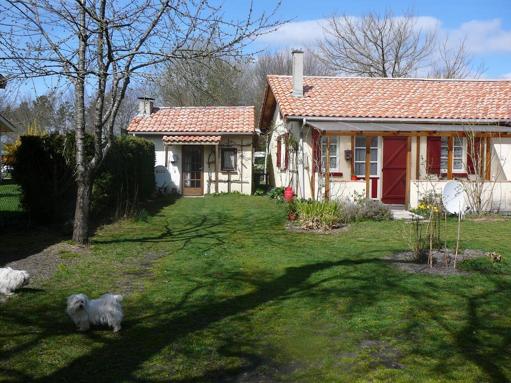 Guesthouse La Burle Parentis-en-Born Pokój zdjęcie